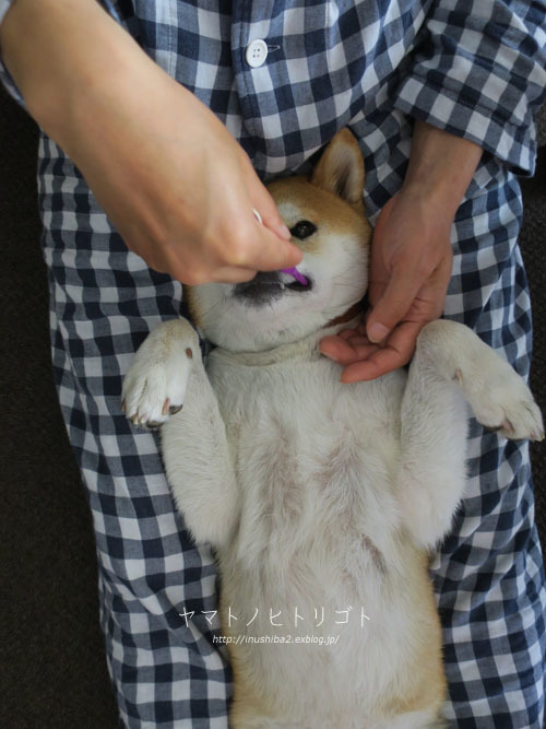 左右対称_e0394031_05481340.jpg