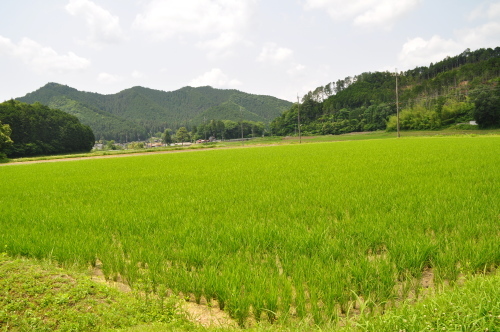 d0053832_22092946.jpg