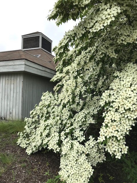 d0269832_04154234.jpeg