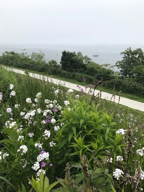 d0269832_04574366.jpeg