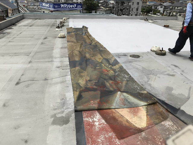 緊急オペ 防水シート_f0031037_17183283.jpg