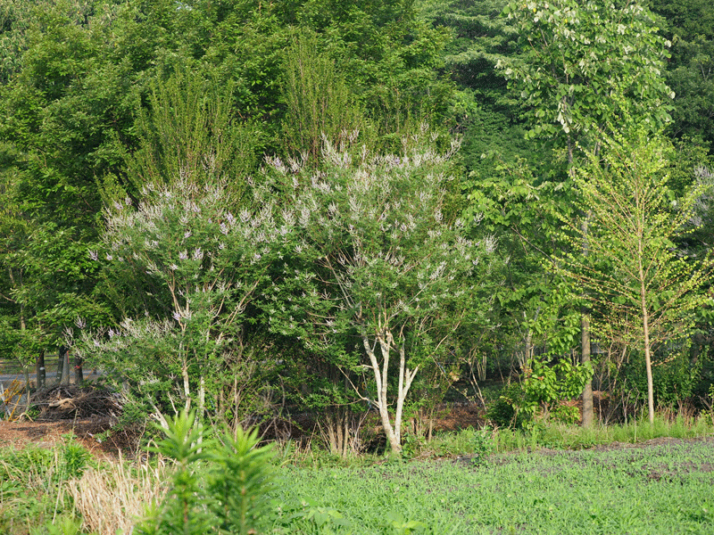 d0290240_16334197.gif