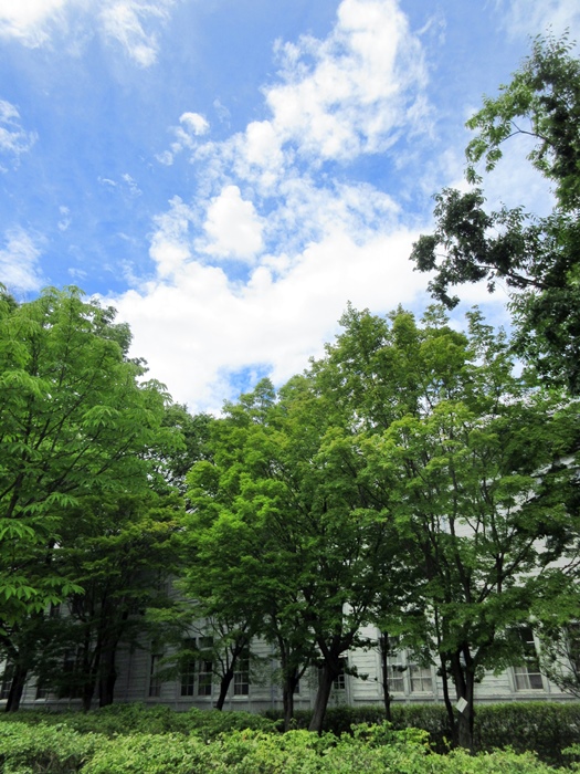 【松本市内観光】北杜夫が通った旧制松本高校を眺める_b0009849_18521965.jpg