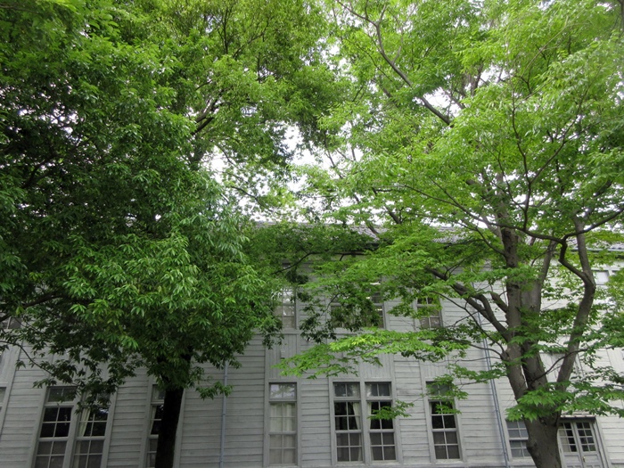 【松本市内観光】北杜夫が通った旧制松本高校を眺める_b0009849_18525127.jpg