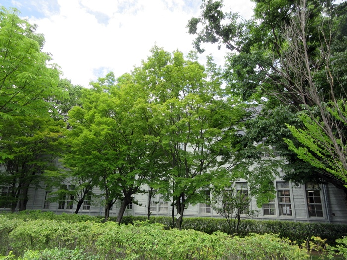 【松本市内観光】北杜夫が通った旧制松本高校を眺める_b0009849_1852614.jpg