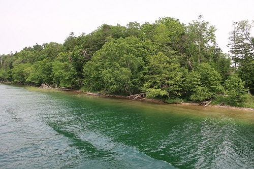 a0235452_22394620.jpg