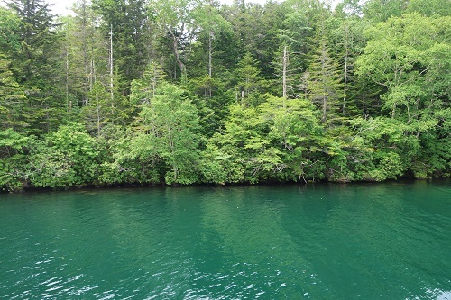 a0235452_22395803.jpg