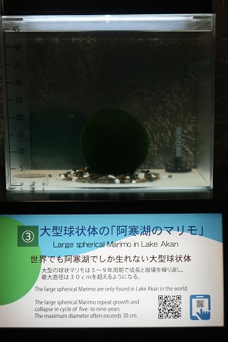 a0235452_22410987.jpg