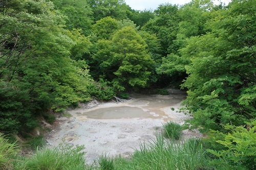 a0235452_22412771.jpg