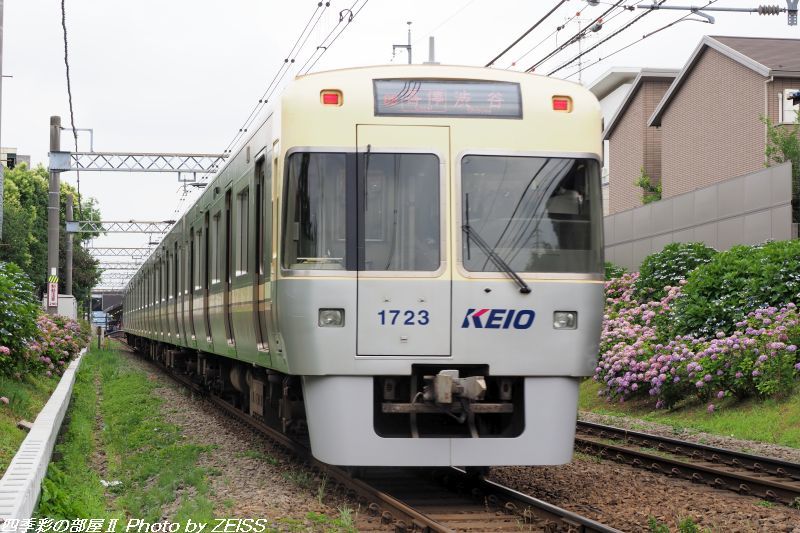 京王井の頭線・あじさい電車_d0358854_18125473.jpg