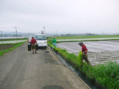 健康農園さんの令和元年の田植えの様子!菊池農業高校生さん達と共に!今年も無農薬栽培で育てます!後編_a0254656_18261147.jpg