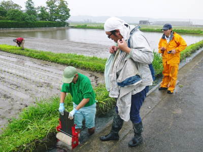 健康農園さんの令和元年の田植えの様子!菊池農業高校生さん達と共に!今年も無農薬栽培で育てます!後編_a0254656_18304623.jpg