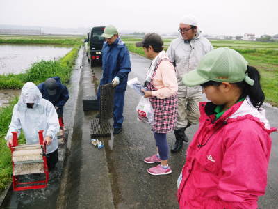 健康農園さんの令和元年の田植えの様子!菊池農業高校生さん達と共に!今年も無農薬栽培で育てます!後編_a0254656_18351679.jpg