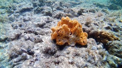 c0180460_18133707.jpg