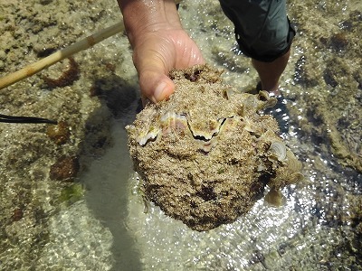 c0180460_18142250.jpg