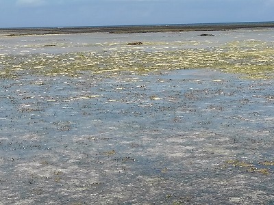 c0180460_18181840.jpg