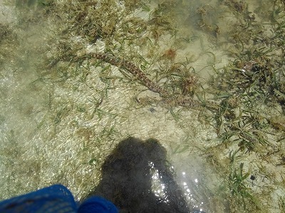 c0180460_18182425.jpg