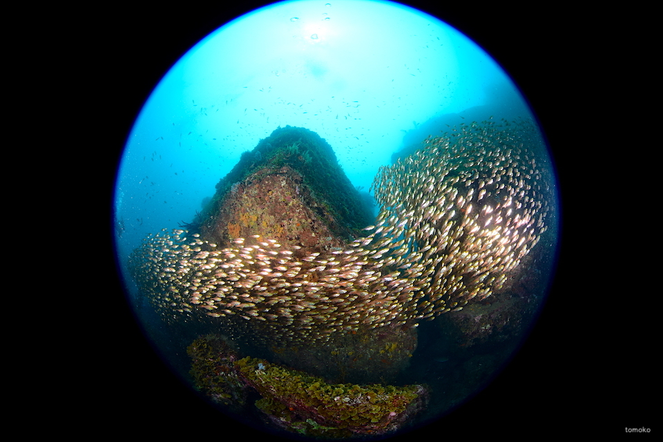 e0158261_07374014.jpg