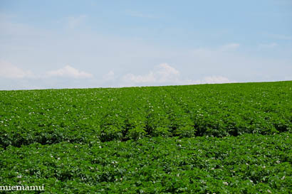 d0340565_20234090.jpg