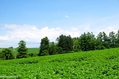 d0340565_20234665.jpg