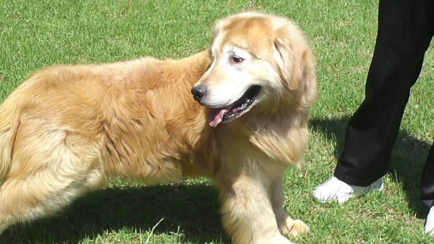 d0391180_09305618.jpg