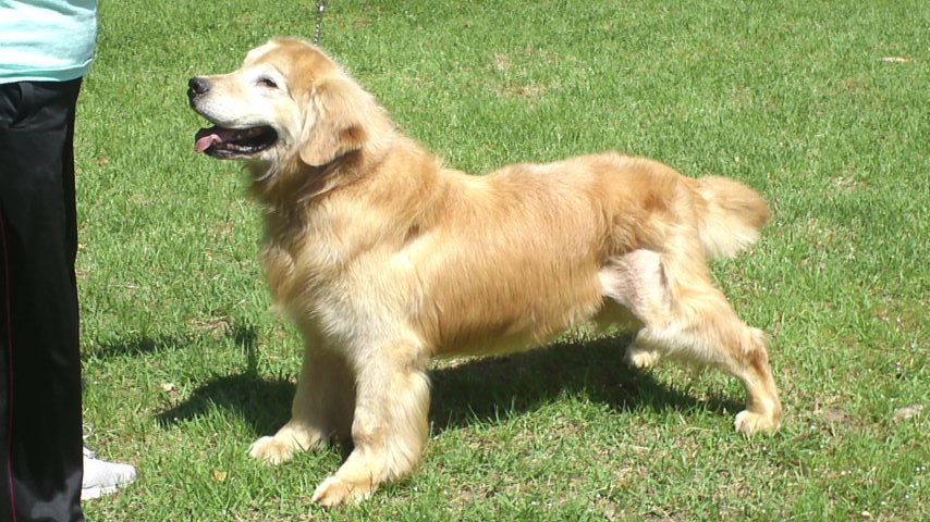 d0391180_09305629.jpg