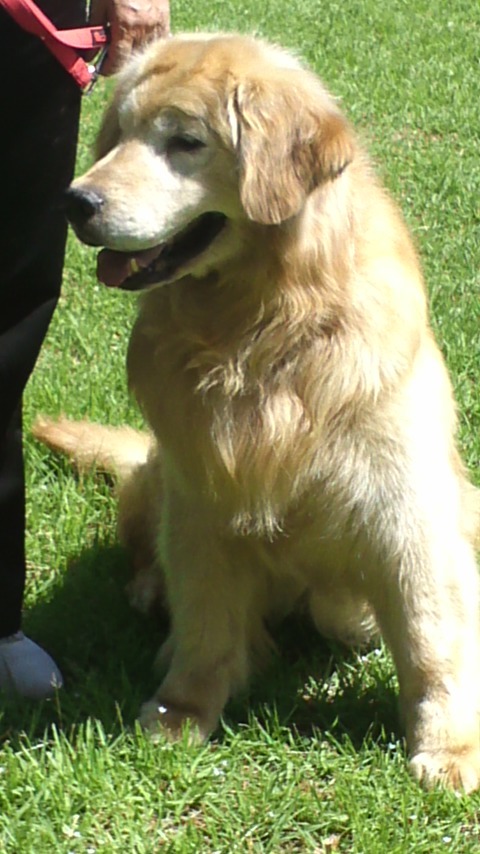 d0391180_09305654.jpg