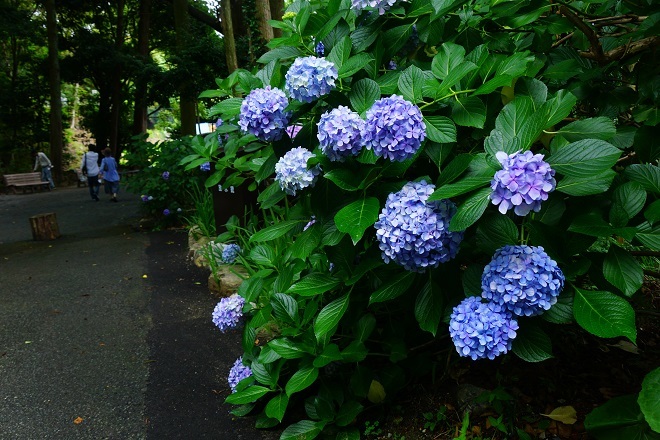 a0345188_02311064.jpg