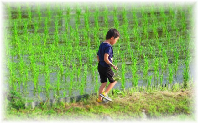 畦道を歩くと 素敵ゆったり田舎暮らし ２