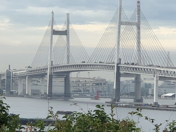 a0288500_11315556.jpeg