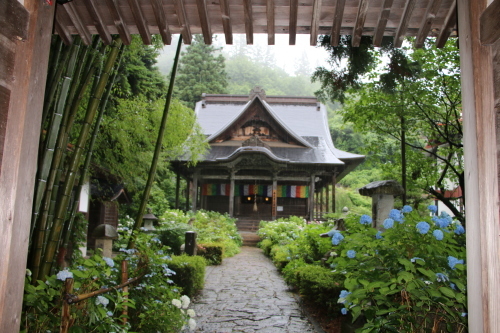 堂森・善光寺の雨に咲く紫陽花・１　_c0075701_08003523.jpg