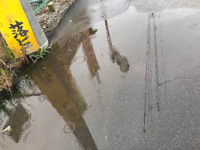 ちびさんは雨オトコ?_f0242002_14252346.jpg