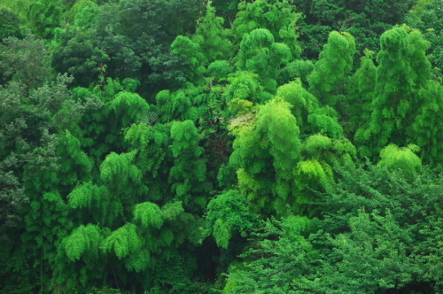 a0263109_20134599.jpg