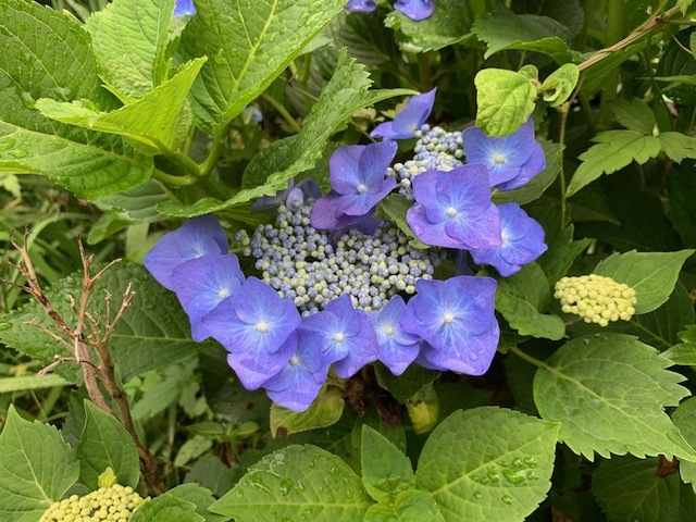 e0340012_20403193.jpg