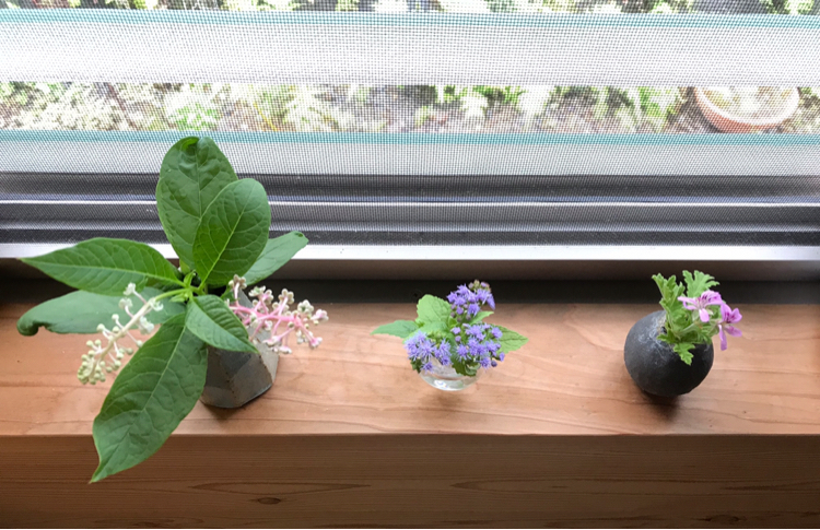 小さな器に花を生けよう 自然を見つめて自分と向き合う心の花 小さな器に花を生けよう 自然を見つめて自分と向き合う心の花