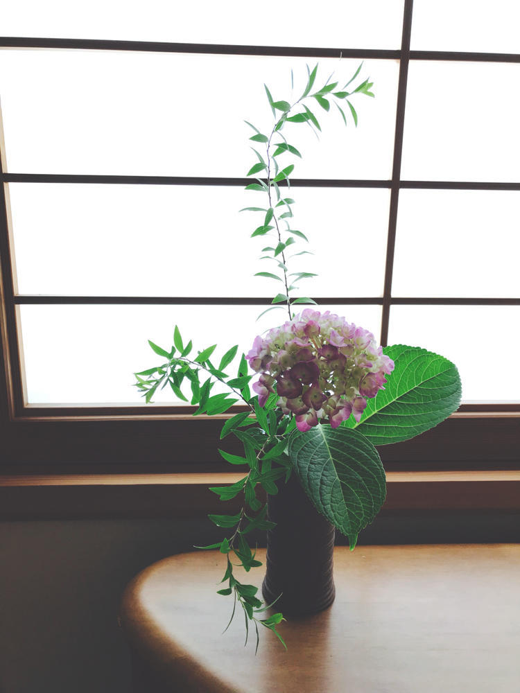 小さな器に花を生けよう 自然を見つめて自分と向き合う心の花 小さな器に花を生けよう 自然を見つめて自分と向き合う心の花