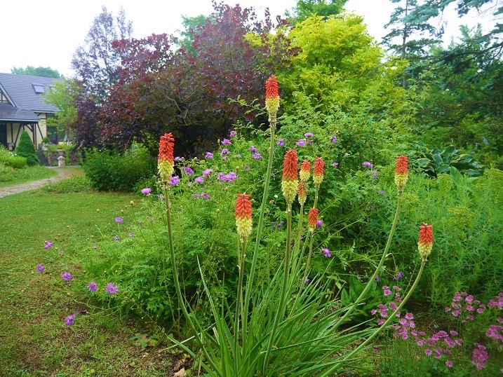 c0204121_20475349.jpg
