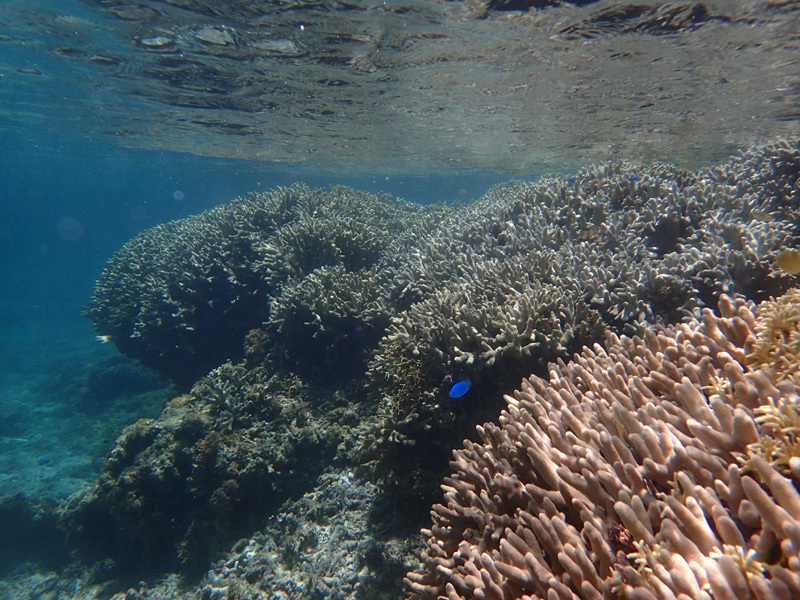e0189021_23105464.jpg