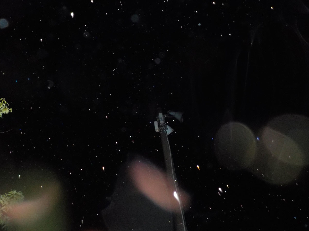 c0331825_22335621.jpg