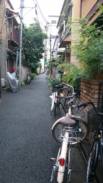 足立区の街散歩 395_a0214329_2232190.jpg
