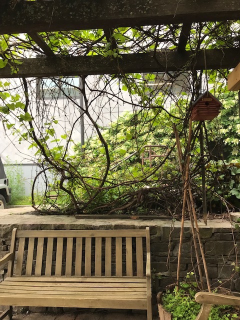 d0269832_05283472.jpeg