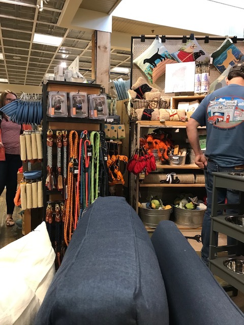 d0269832_05483634.jpeg