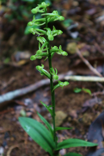 e0272335_173922.jpg