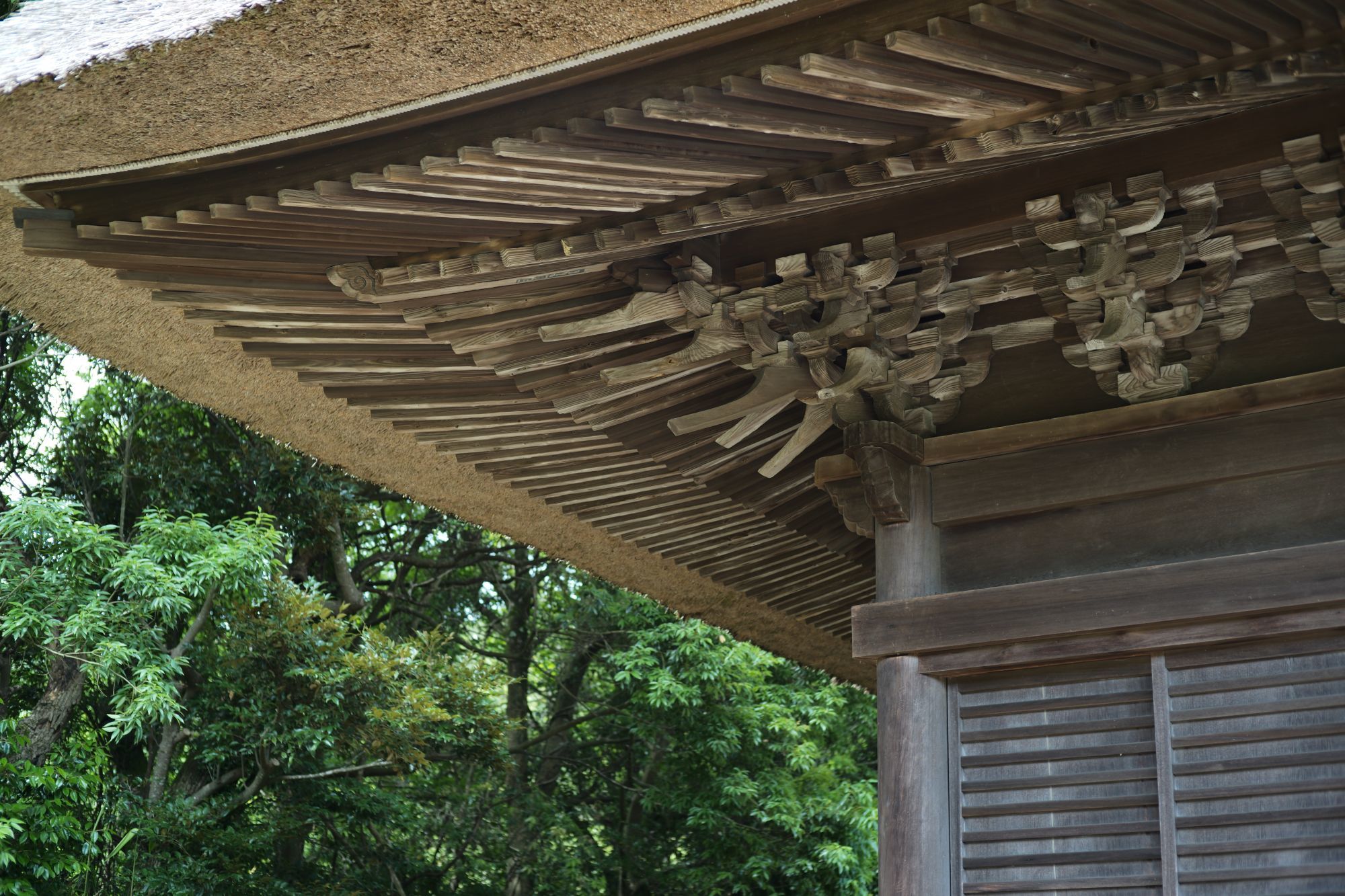 【重要文化財|西願寺 阿弥陀堂】 行き方、見学のしかた (千葉県 市原市)_b0212342_03534275.jpg