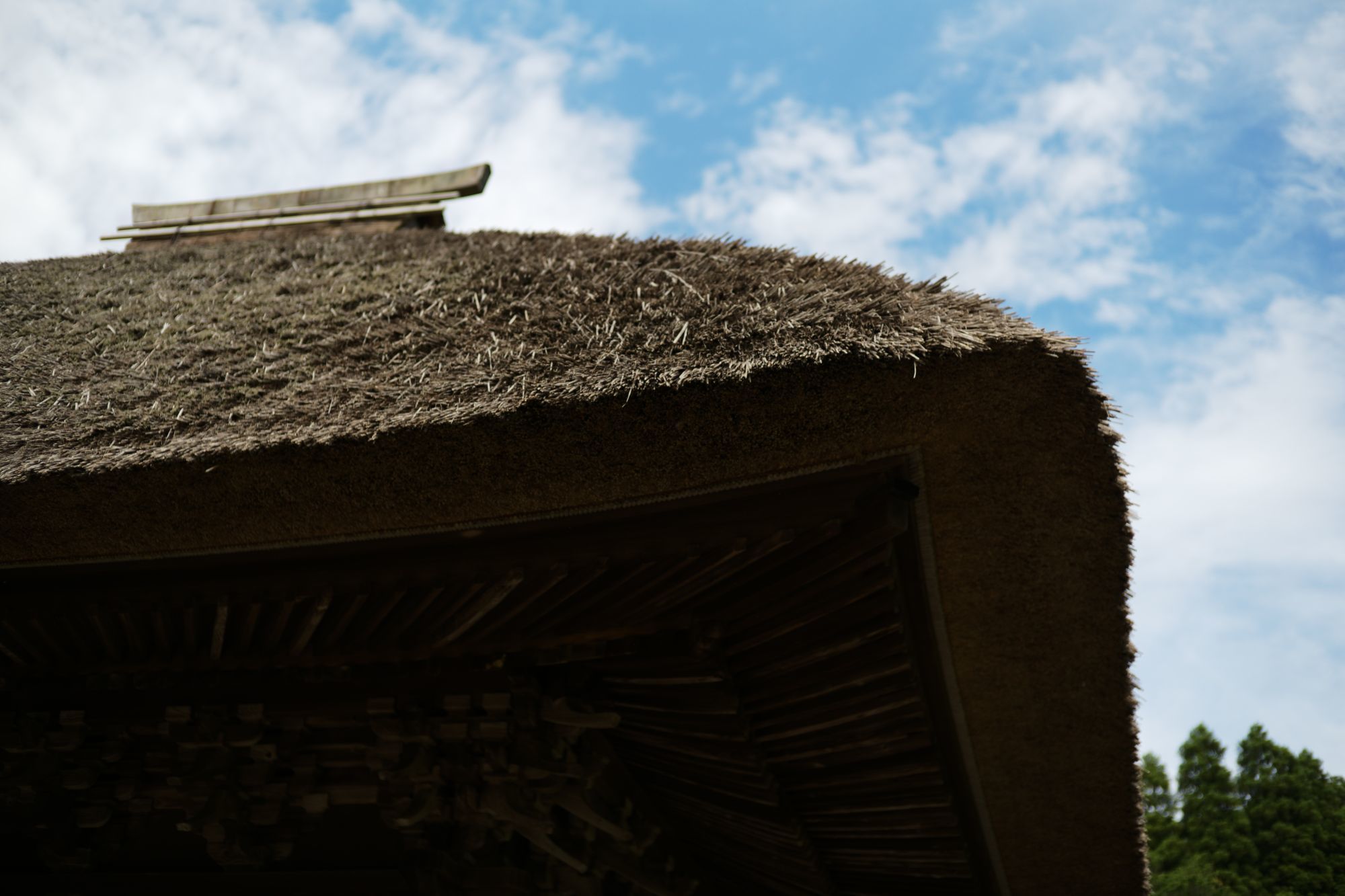 【重要文化財|西願寺 阿弥陀堂】 行き方、見学のしかた (千葉県 市原市)_b0212342_03551657.jpg