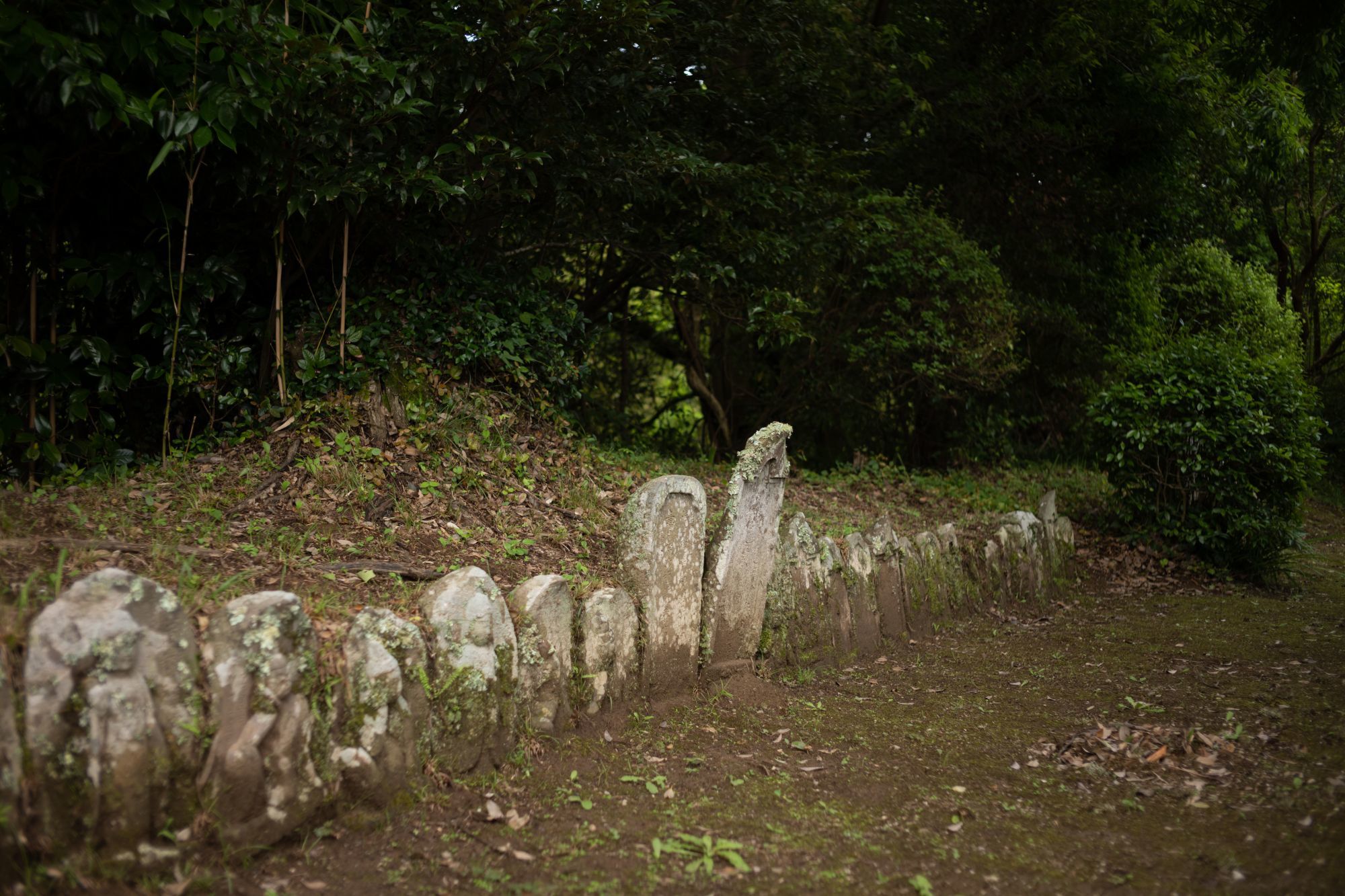 【重要文化財|西願寺 阿弥陀堂】 行き方、見学のしかた (千葉県 市原市)_b0212342_04021340.jpg