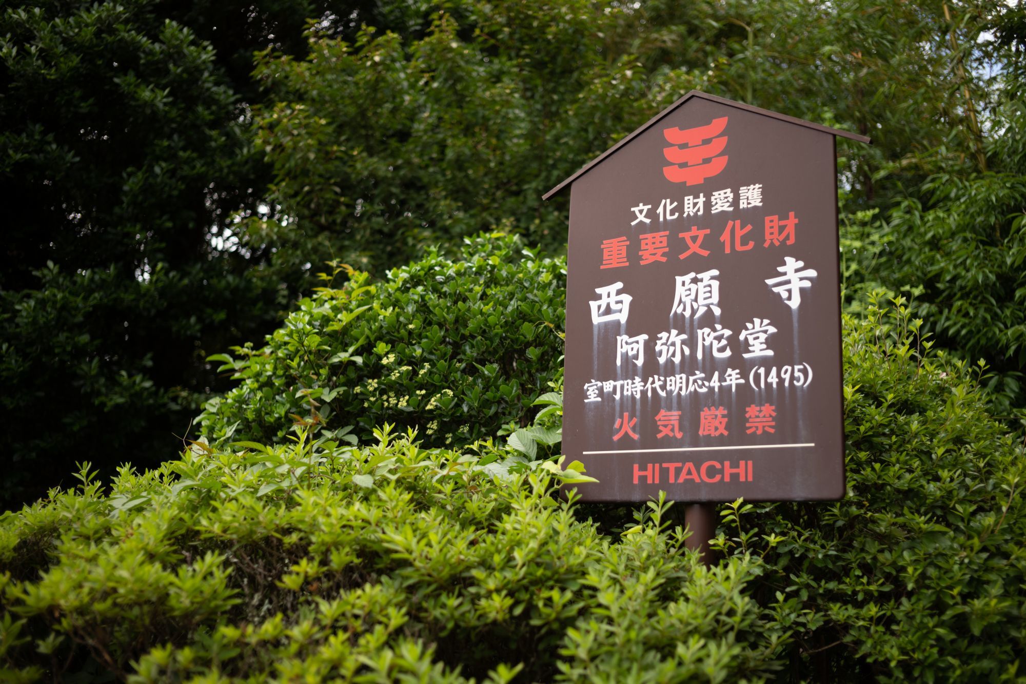 【重要文化財|西願寺 阿弥陀堂】 行き方、見学のしかた (千葉県 市原市)_b0212342_04030174.jpg
