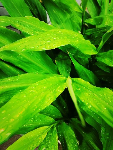 c0292342_12084622.jpg