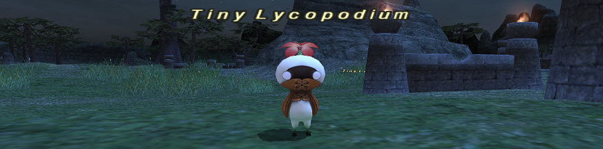 マンドラゴラの容姿とか名前の由来とか調べてみた。_e0401547_21003938.png