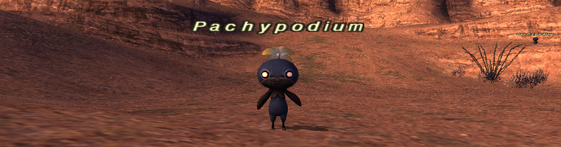 マンドラゴラの容姿とか名前の由来とか調べてみた。_e0401547_21010281.png